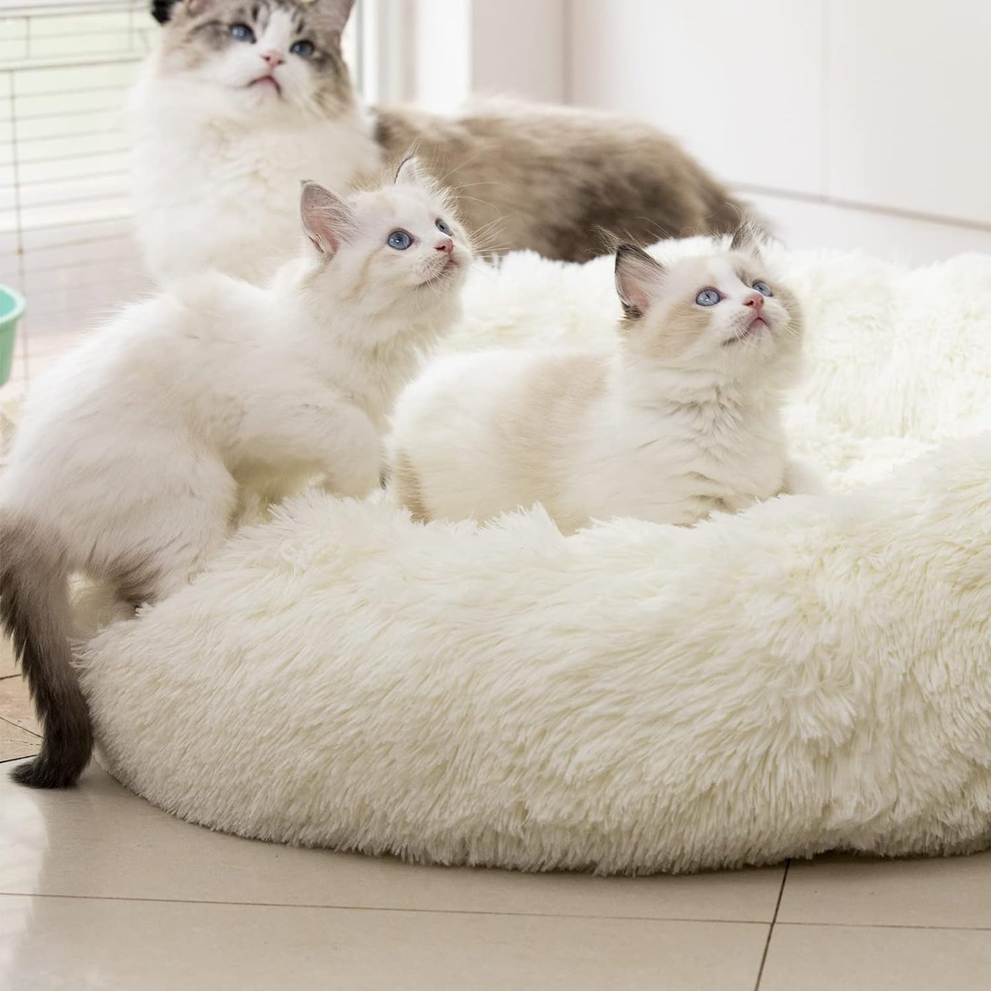 anti Anxiety round Fluffy Plush Faux Fur Warm Washable Dog Bed & Cat Bed, Original Bed for Small Medium Large Pets,Used to Relieve Joints and Improve Sleep(20"/24"/27'') (27", White)